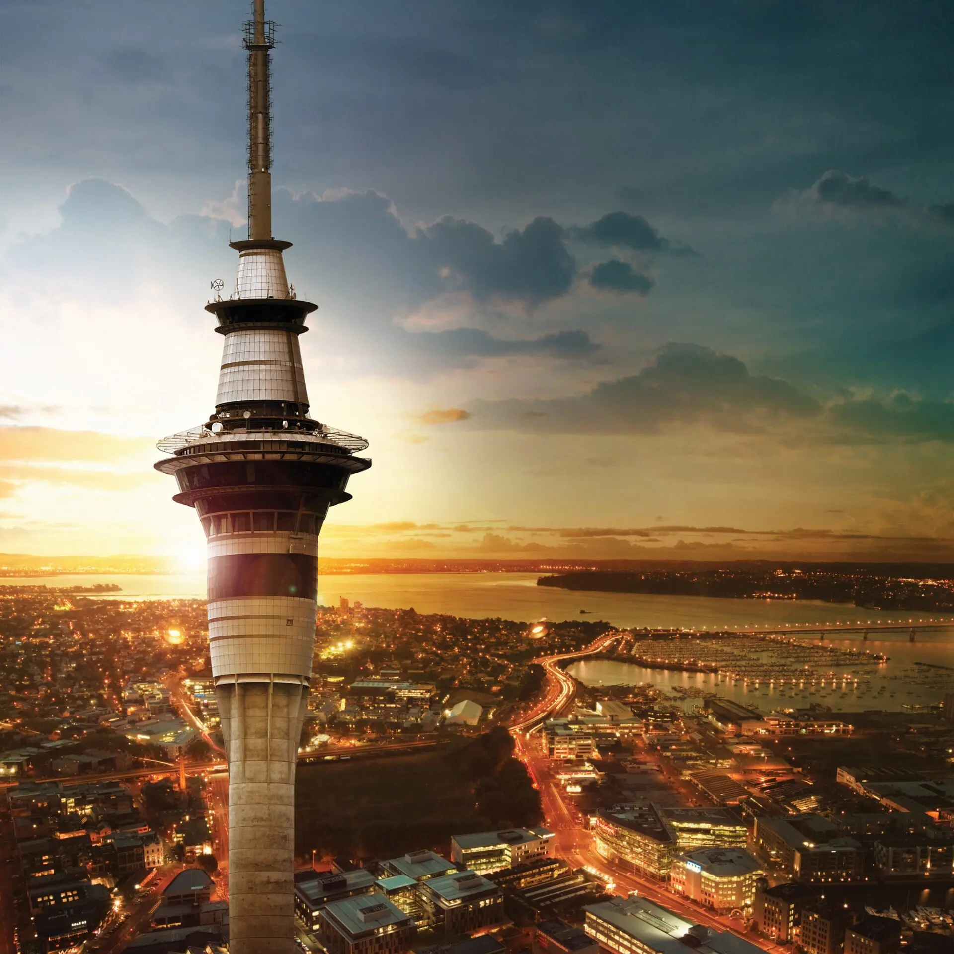 things to do in auckland city