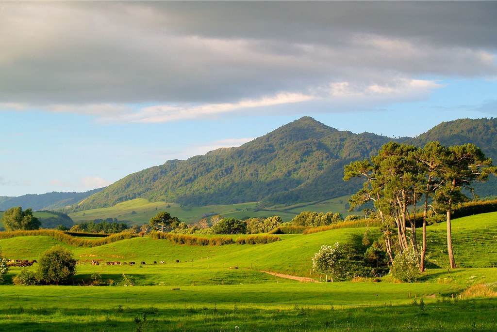 Kaimai Rages