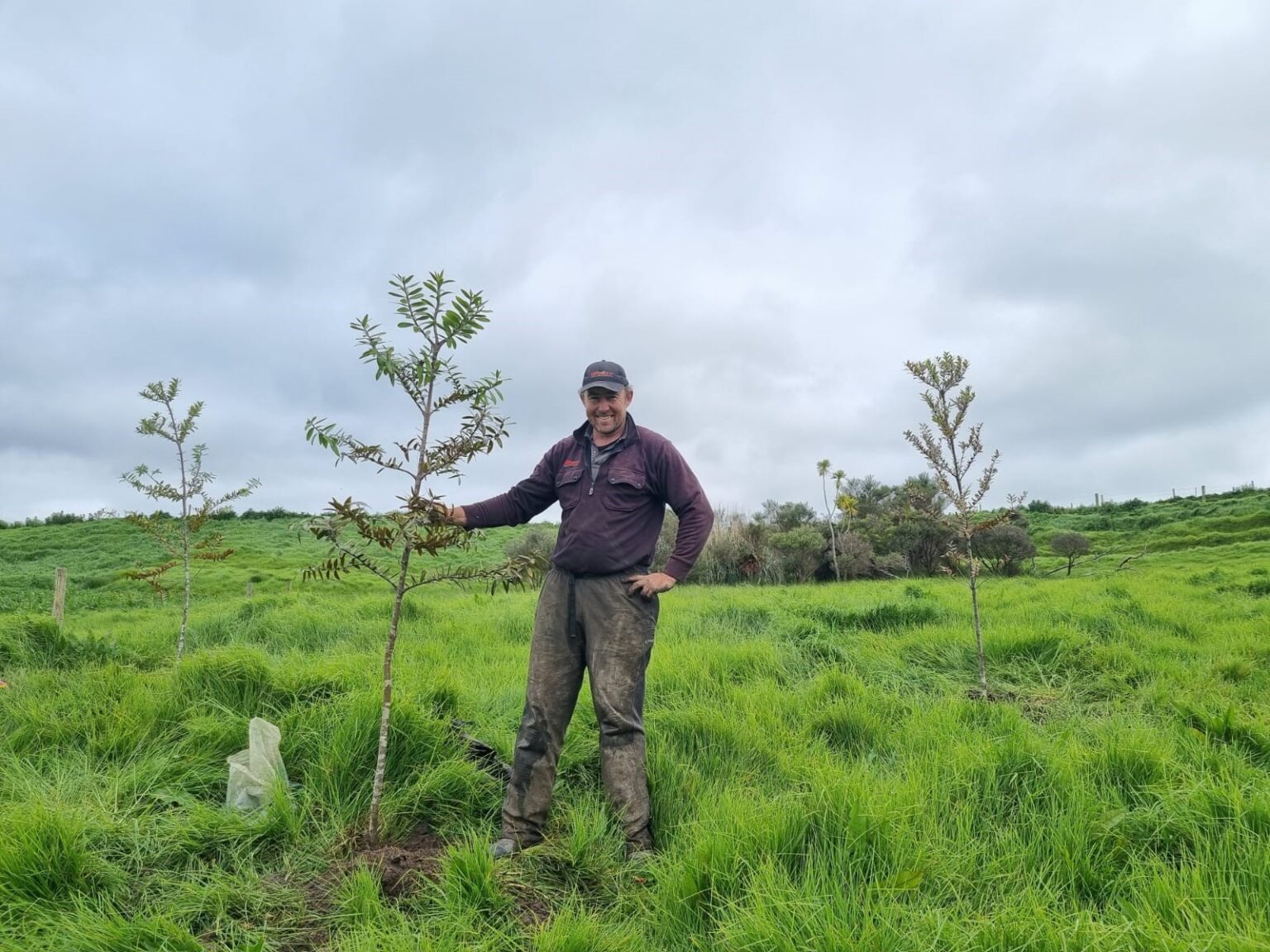 Planting native trees in our farm