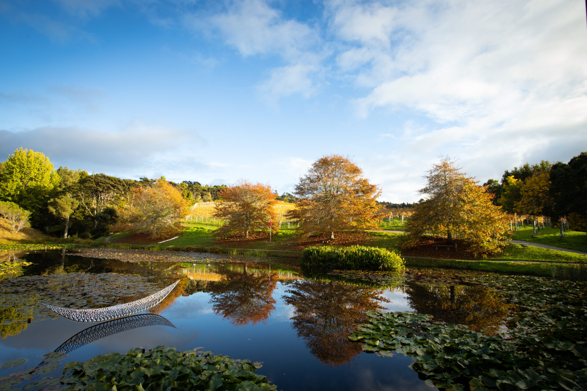 Matakana Village Tours