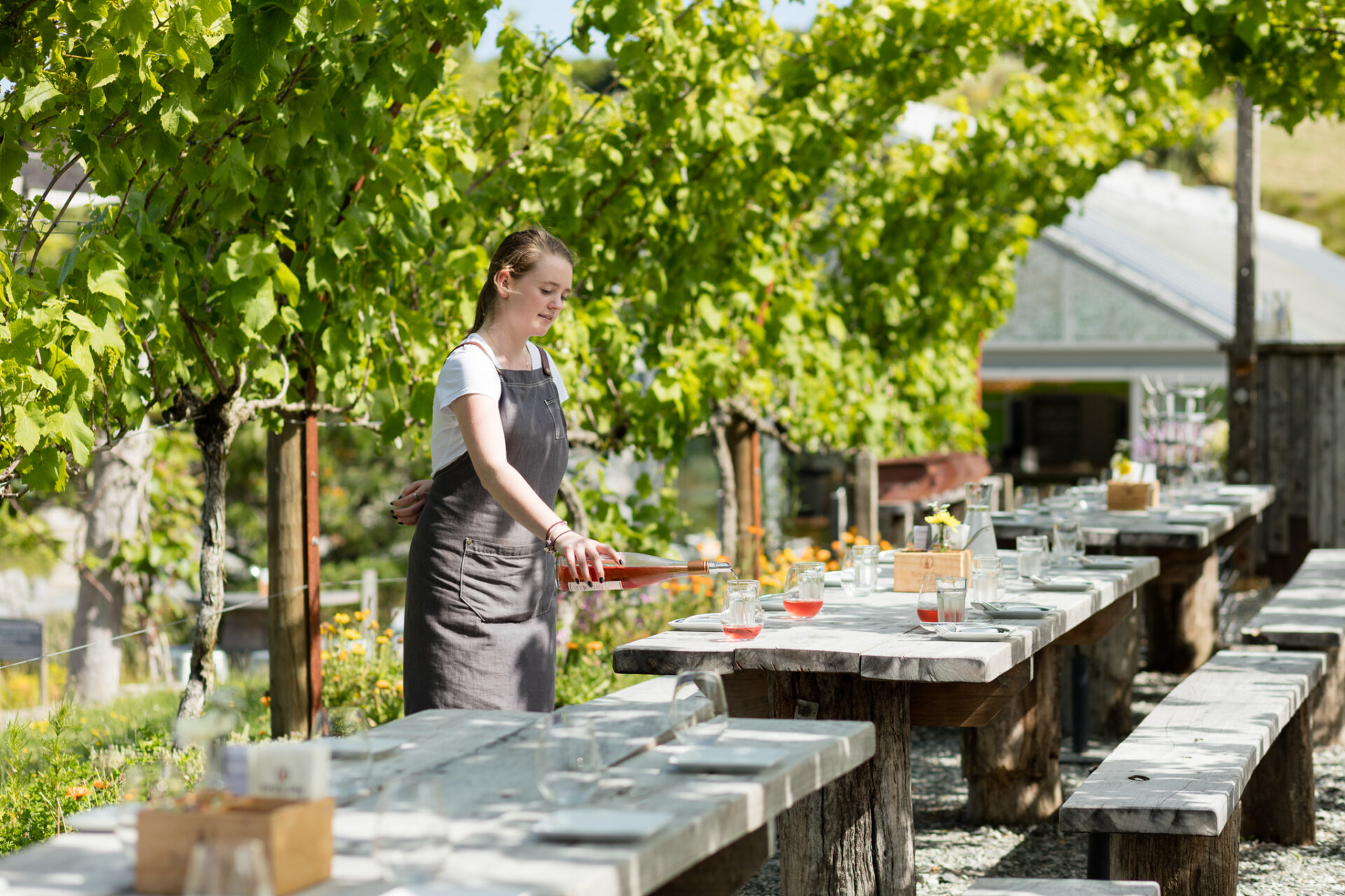 Matakana Wine Experience