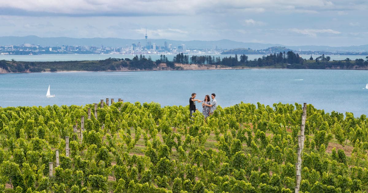Waiheke