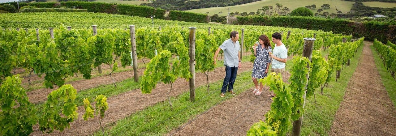 winery tasting