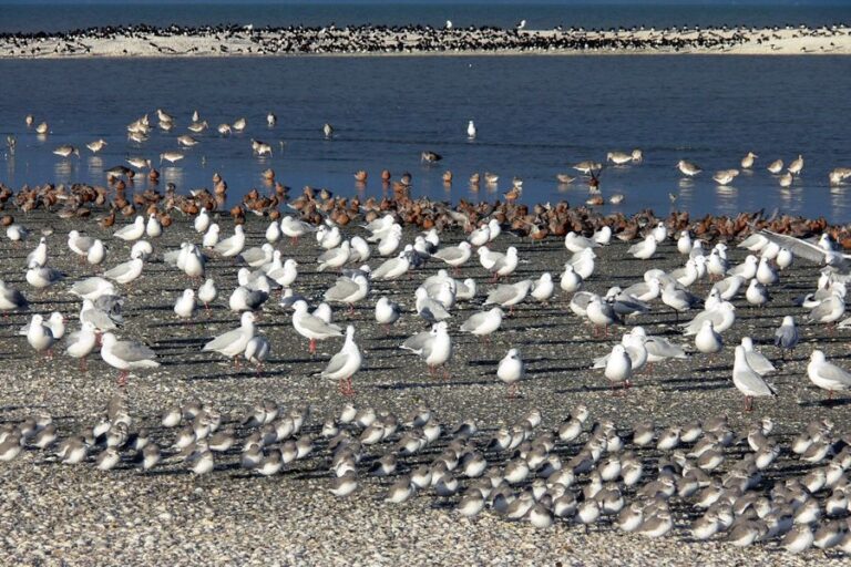 Prviate Birdwatching, Hiking & Waterfalls Tour