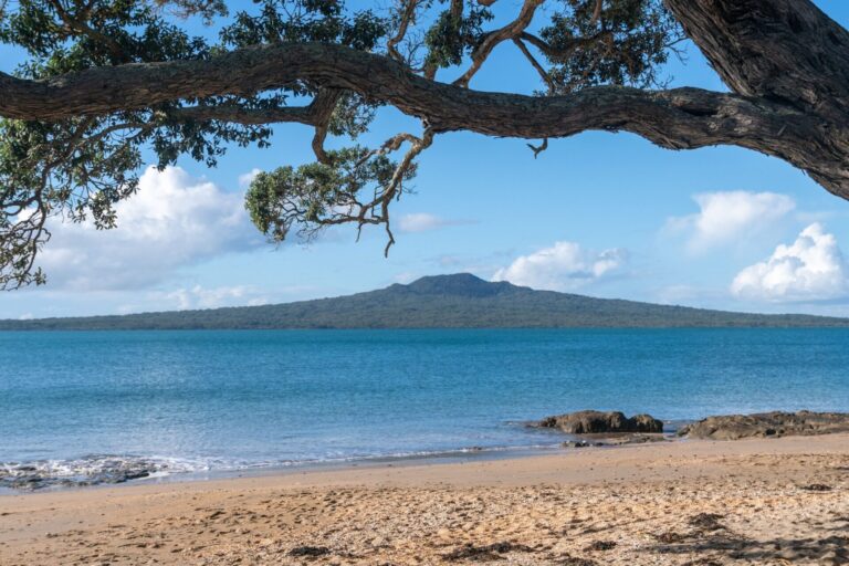 Rangitoto Island Tour